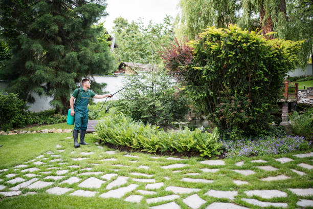 Best Exterminator Services  in Nashua, NH